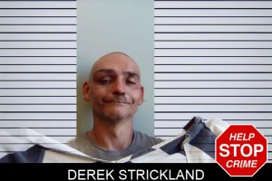 Derek Strickland mugshot