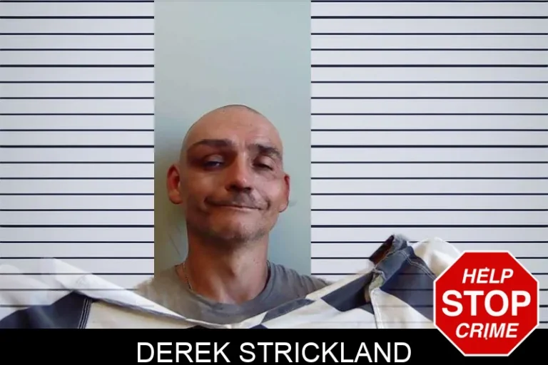 Derek Strickland mugshot – Evans County , Georgia Derek Strickland