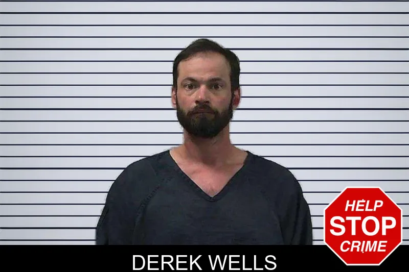 Derek Wells mugshot