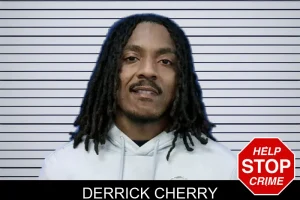 Derrick Cherry mugshot