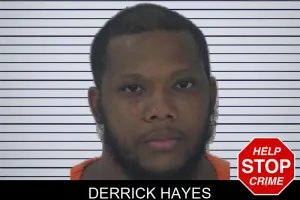 Derrick Hayes mugshot