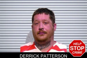 Derrick Patterson mugshot