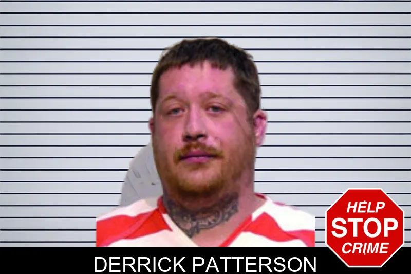 Derrick Patterson mugshot