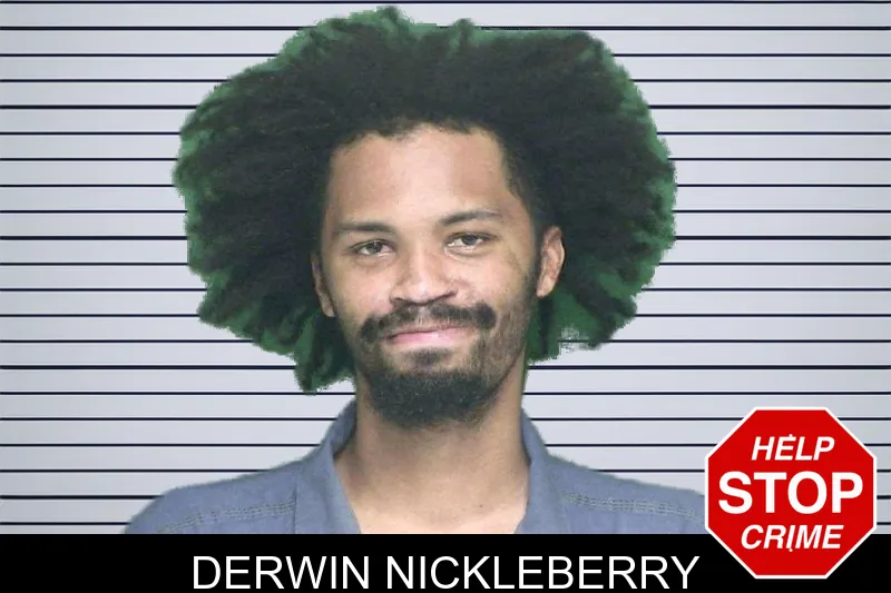 Derwin Nickleberry mugshot – Appling County , Georgia Derwin Nickleberry mugshot