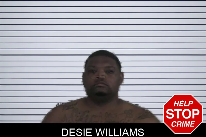 Desie Williams mugshot