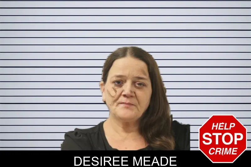 Desiree Meade mugshot
