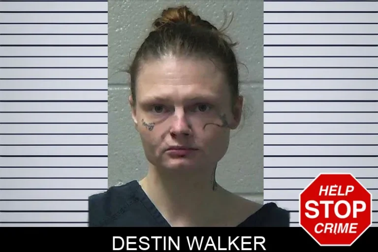 Destin Walker mugshot – Gilmer County , Georgia Destin Walker
