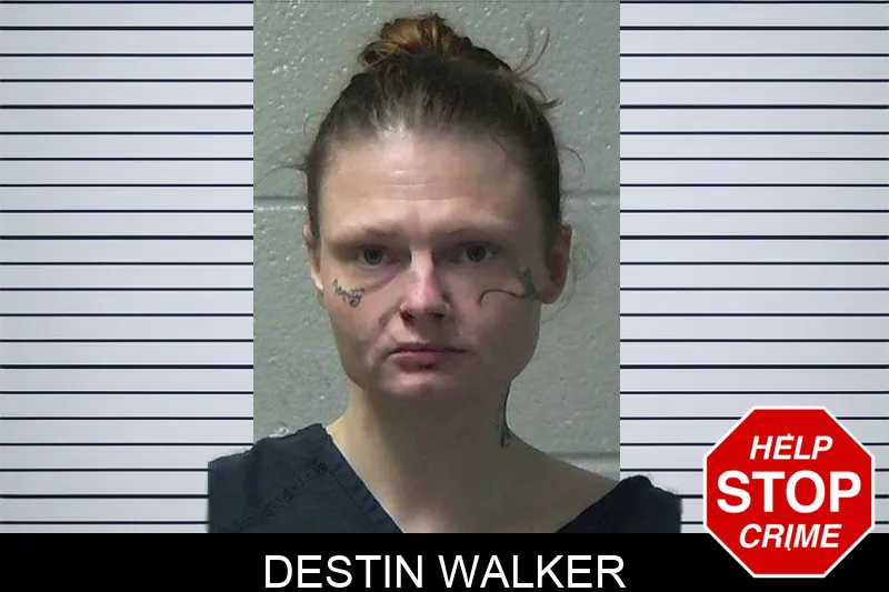 Destin Walker mugshot