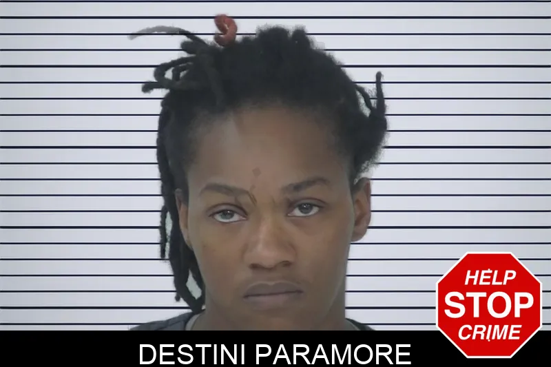 Destini Paramore mugshot – Fayette County , Georgia Destini Paramore mugshot