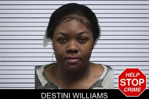Destini Williams mugshot