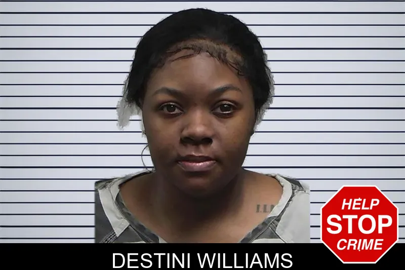 Destini Williams mugshot