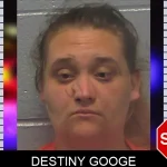 Destiny Googe mugshot