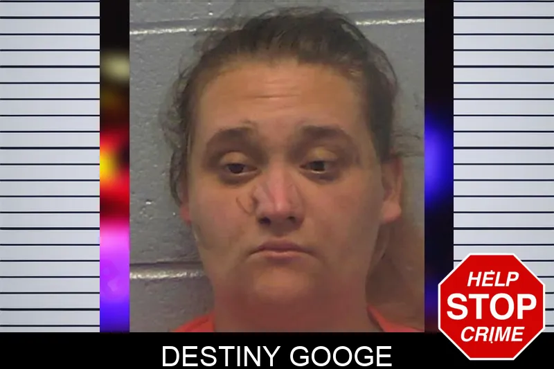 Destiny Googe mugshot – Ware County , Georgia Destiny Googe mugshot