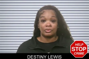 Destiny Lewis mugshot