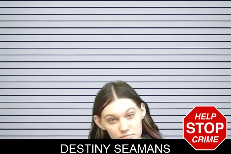 Destiny Seamans mugshot