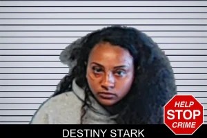 Destiny Stark mugshot