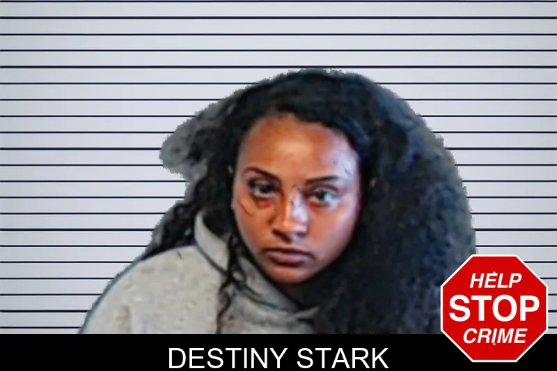 Destiny Stark mugshot