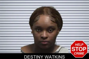 Destiny Watkins mugshot