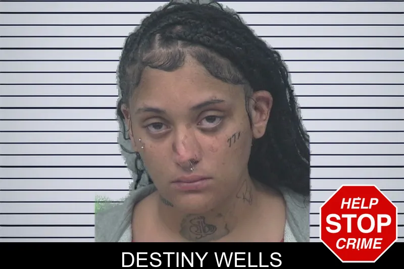 Destiny Wells mugshot