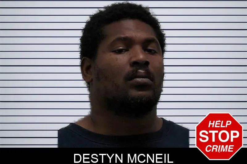 Destyn McNeil mugshot – Pierce County , Georgia Destyn McNeil mugshot