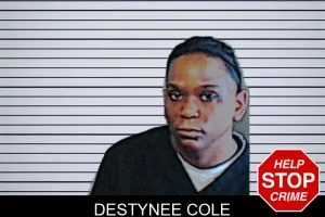 Destynee Cole mugshot