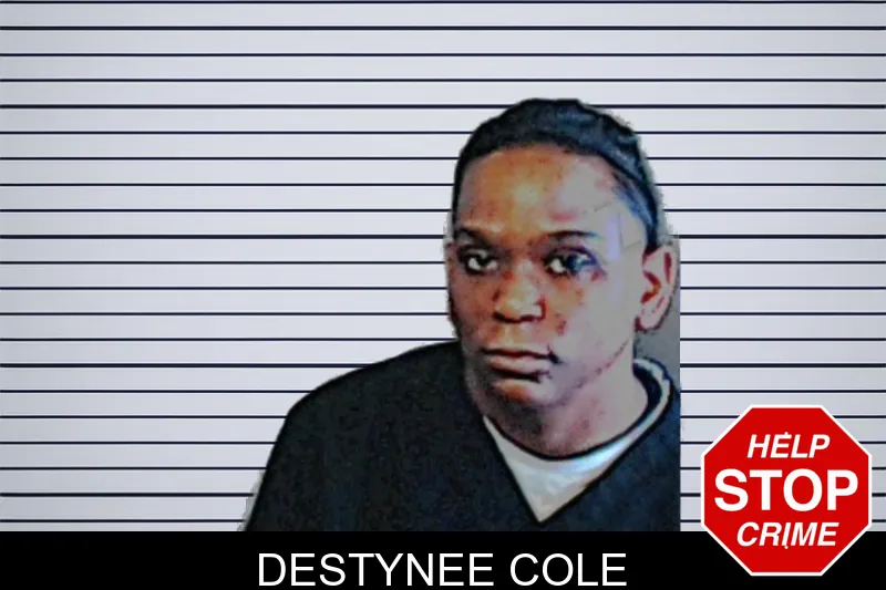 Destynee Cole mugshot