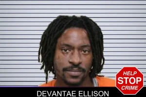 Devantae Ellison mugshot