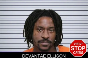Devantae Ellison mugshot