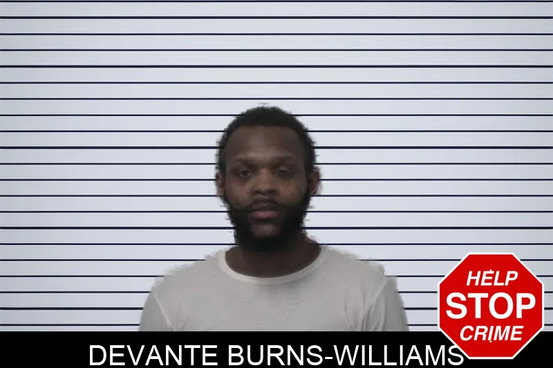 Devante Burns-Williams mugshot
