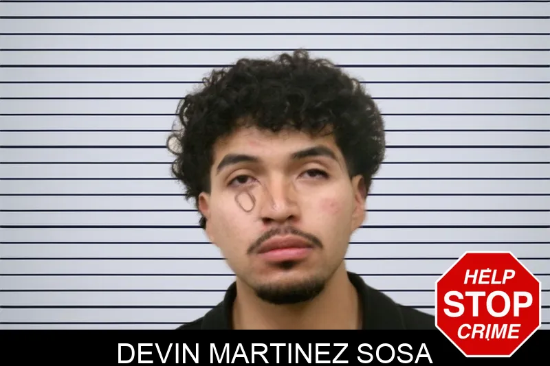 Devin Martinez Sosa mugshot