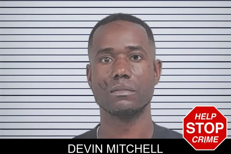 Devin Mitchell mugshot – Lowndes County , Georgia Devin Mitchell