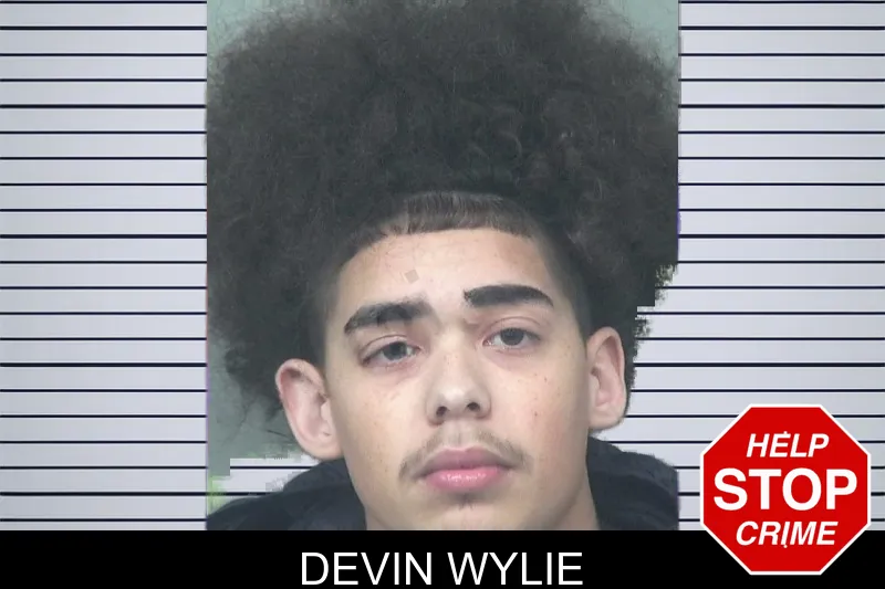Devin Wylie mugshot