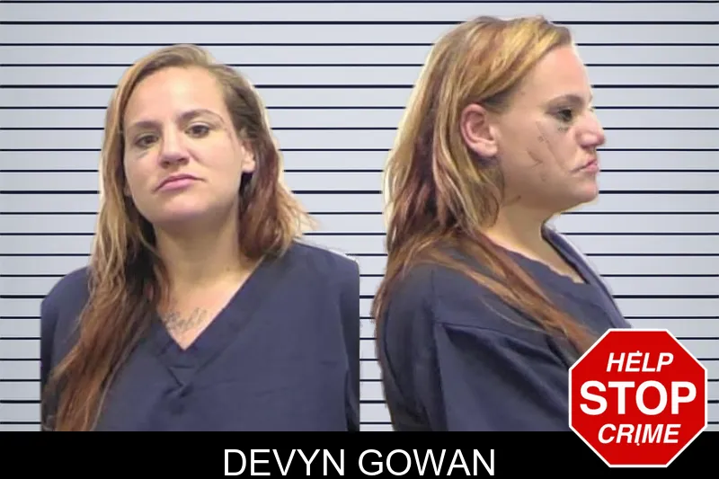 Devyn Gowan mugshot – Clarke County , Georgia Devyn Gowan mugshot