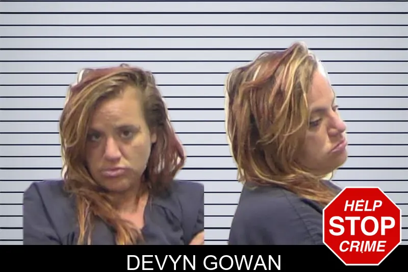 Devyn Gowan mugshot