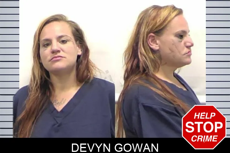 Devyn Gowan mugshot – Clarke County , Georgia Devyn Gowan mugshot