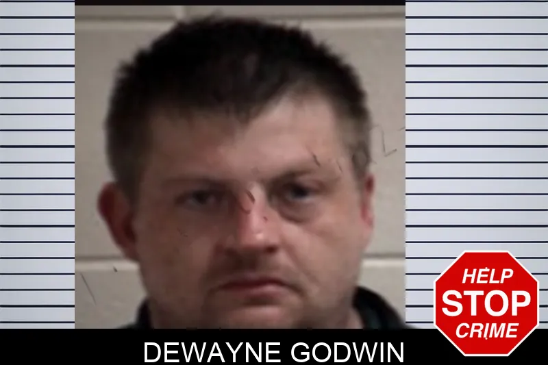 Dewayne Godwin mugshot – Henry County , Georgia Dewayne Godwin mugshot