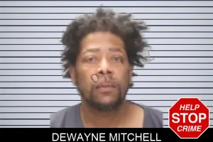 Dewayne Mitchell mugshot