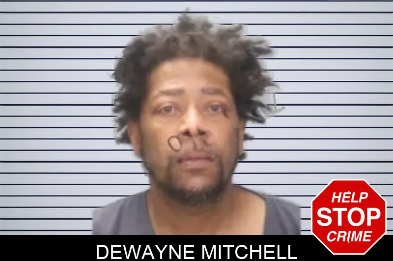 Dewayne Mitchell mugshot