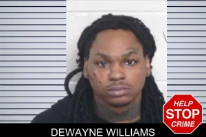 Dewayne Williams mugshot