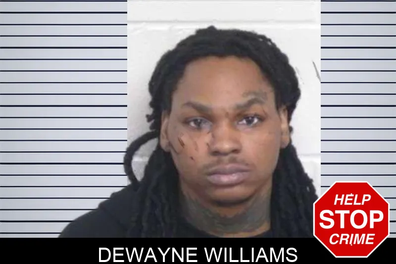 Dewayne Williams mugshot