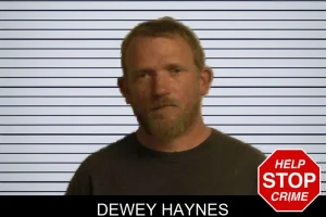 Dewey Haynes mugshot