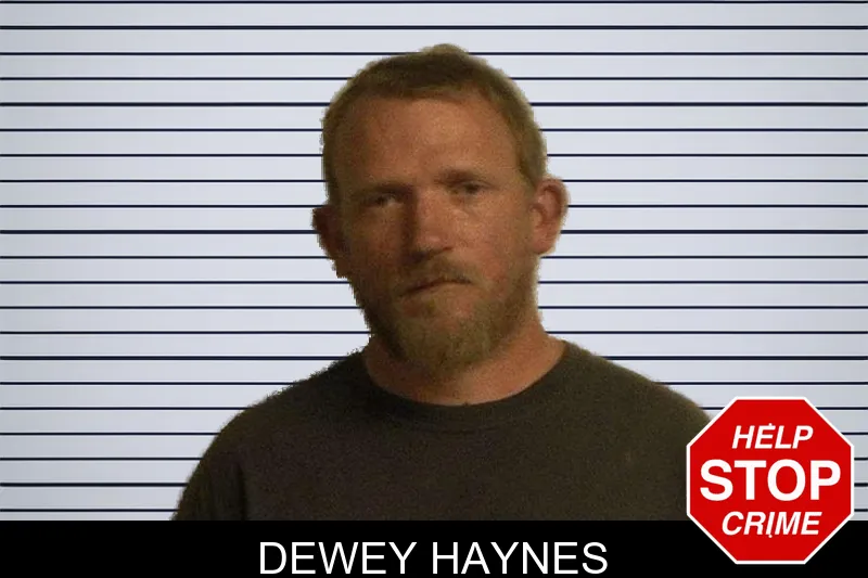 Dewey Haynes mugshot