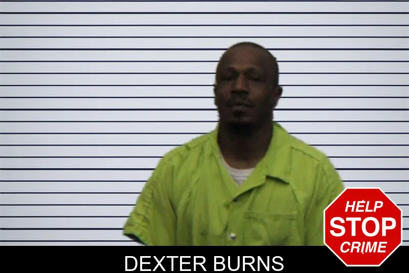 Dexter Burns mugshot