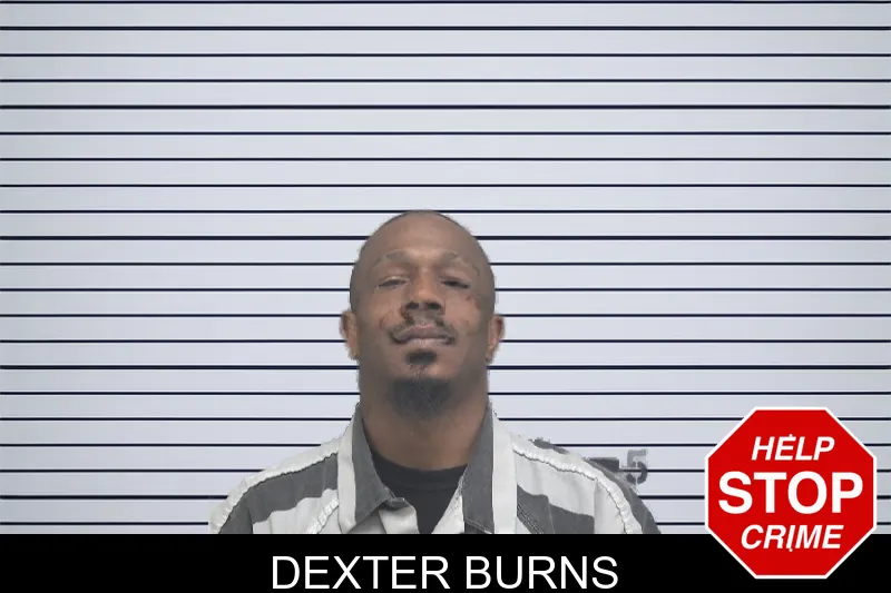 Dexter Burns mugshot – Dougherty County , Georgia Dexter Burns mugshot