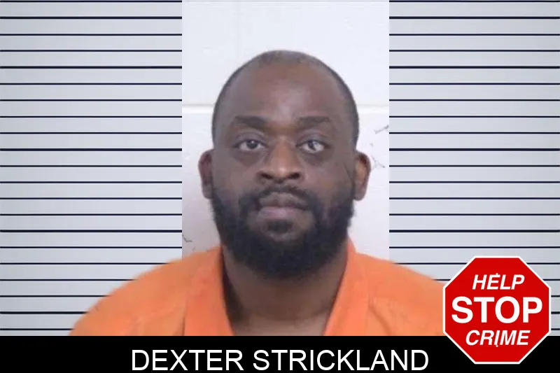 Dexter Strickland mugshot – Tattnall County , Georgia Dexter Strickland mugshot
