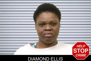 Diamond Ellis mugshot