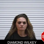 Diamond Wilkey mugshot
