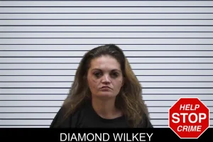 Diamond Wilkey mugshot