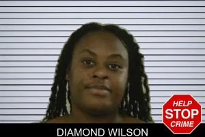 Diamond Wilson mugshot