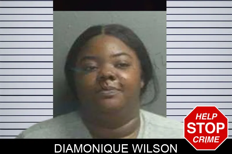 Diamonique Wilson mugshot – Sumter County , Georgia Diamonique Wilson mugshot
